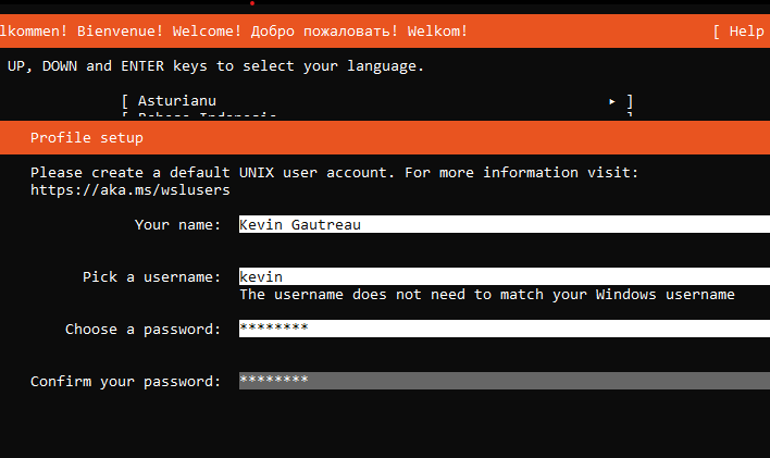 Ubuntu wsl install